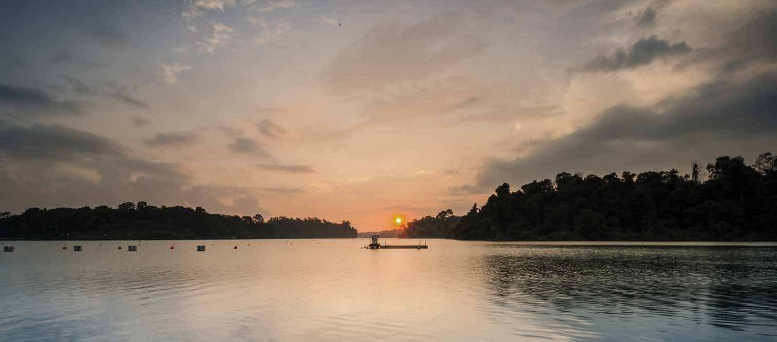 Nature at sunset