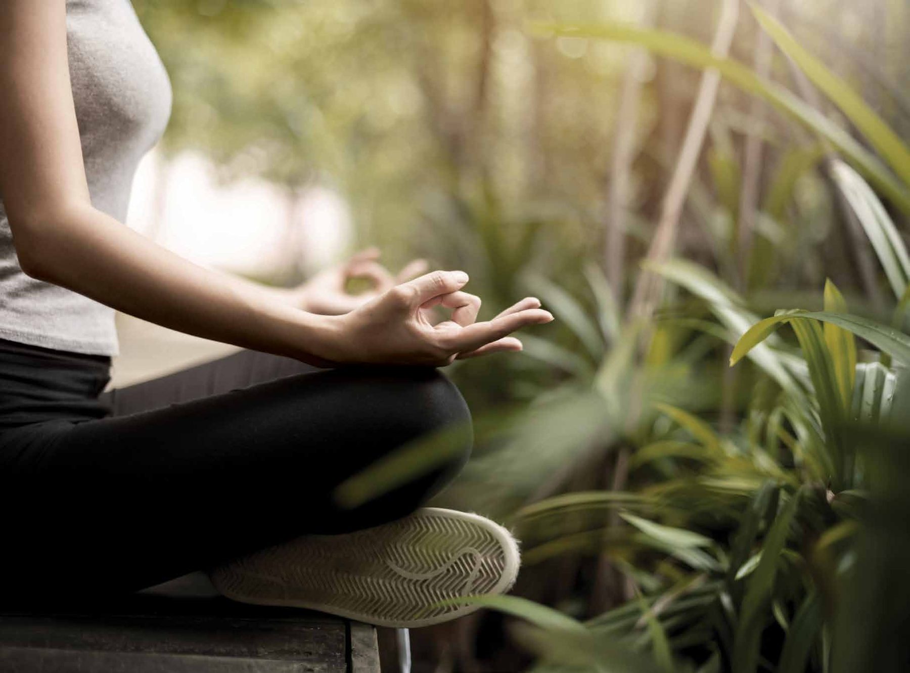 Meditation Lawn